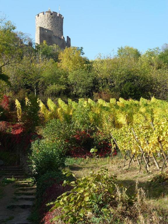 Hotel Les Remparts Kaysersberg-Vignoble Exterior foto