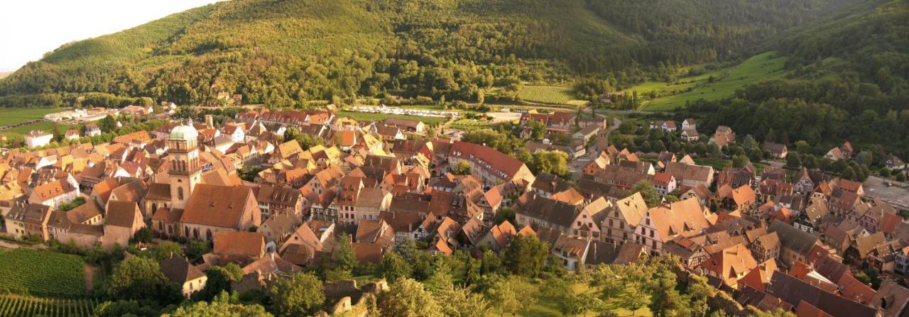 Hotel Les Remparts Kaysersberg-Vignoble Exterior foto